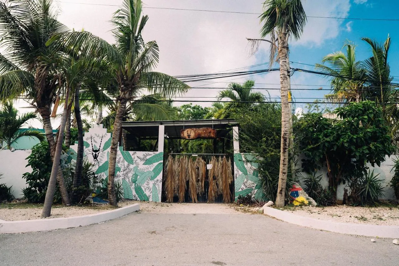 Hostel Oryx トゥルム